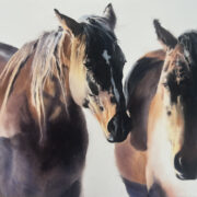 Caitlin Leline-Hatch