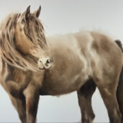 Caitlin Leline-Hatch