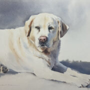 Caitlin Leline-Hatch